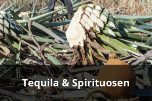 tequila und spirituosen