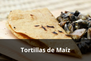 tortillas_de_maiz